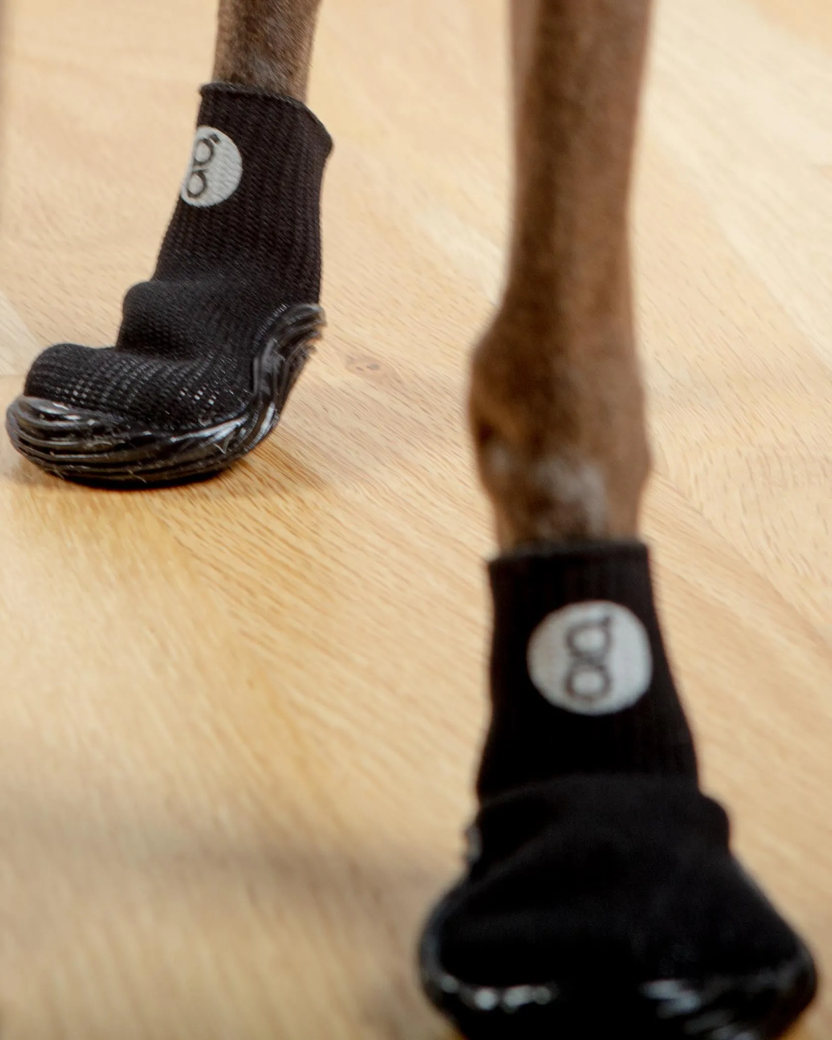 All Season & All Terrain Stretch and Go Dog Boots in Black (CLEARANCE)