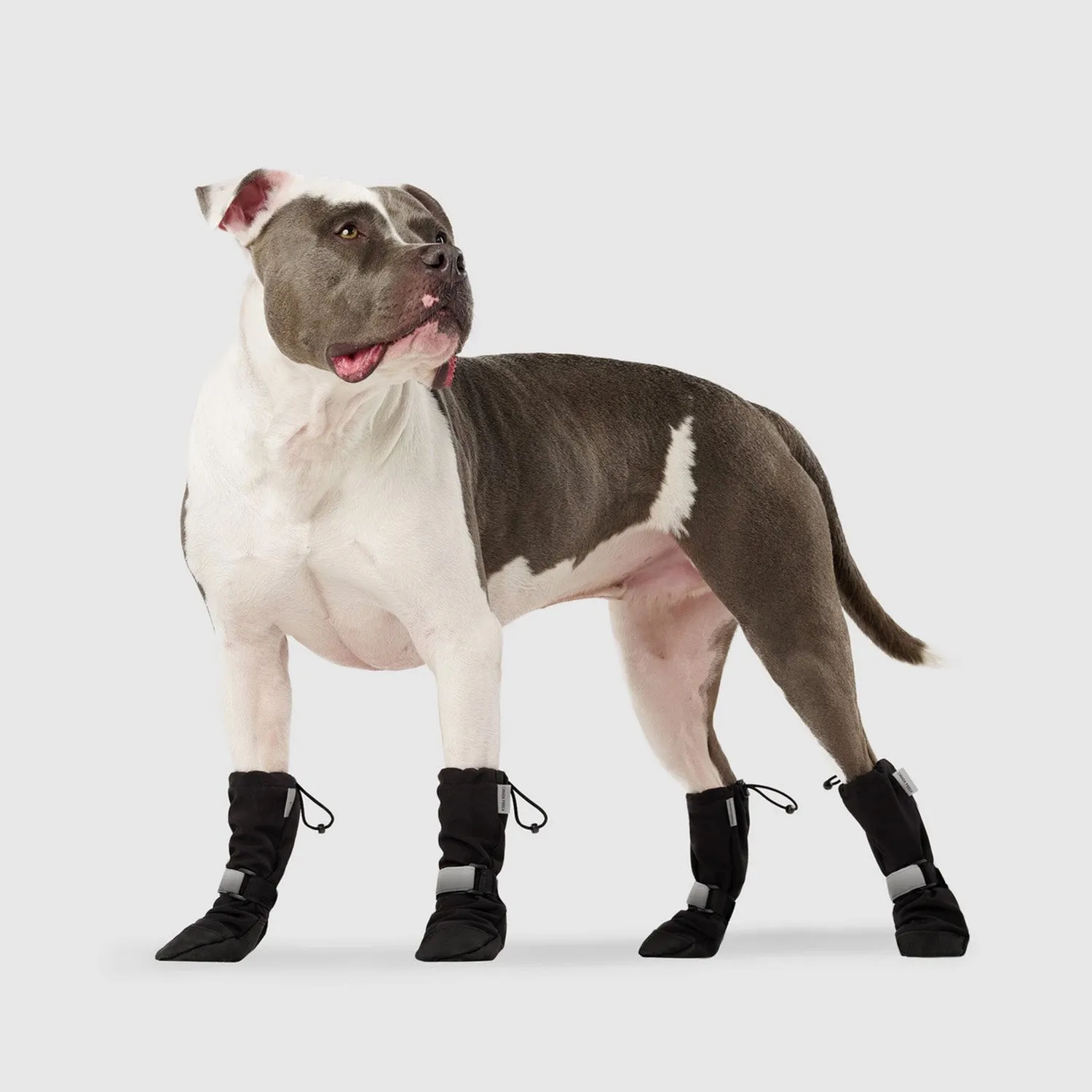 Canada Pooch Soft Shield Boots