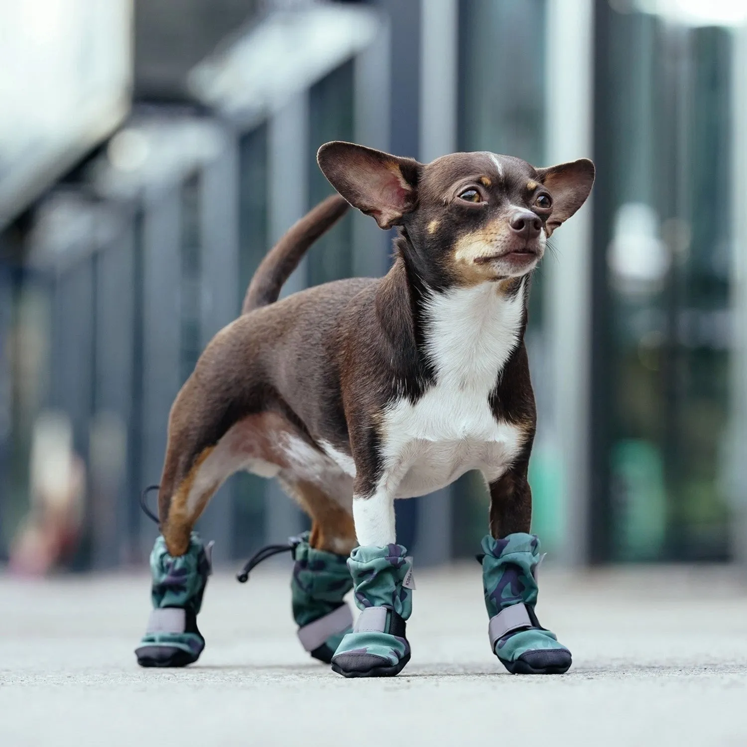 Canada Pooch Soft Shield Boots