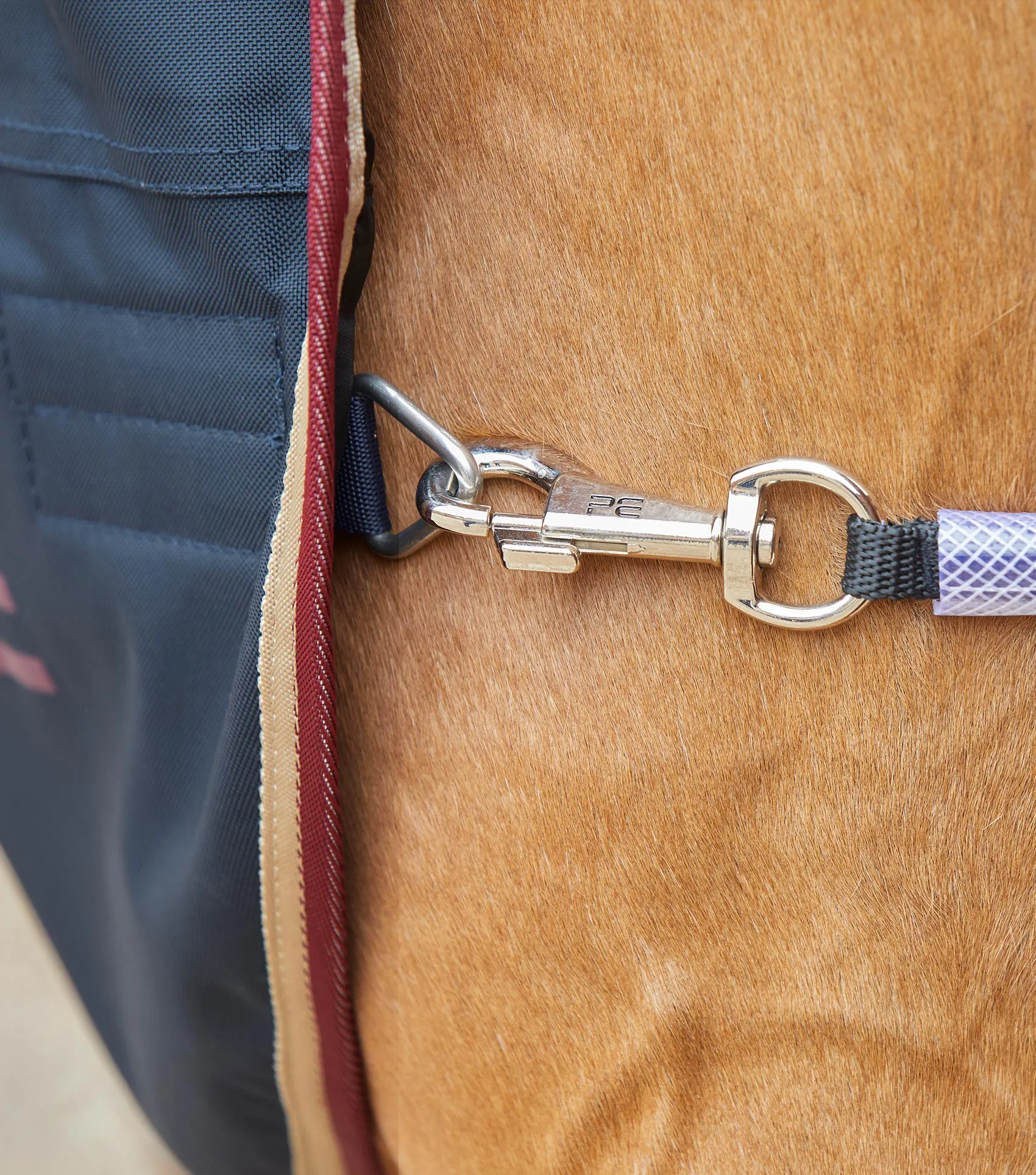 Horse Walker Rug 0g Navy